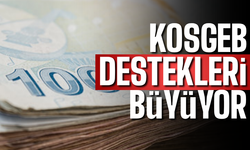 KOSGEB destekleri genişliyor