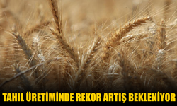 Küresel tahıl üretiminde 105 milyon tonluk rekor artış bekleniyor