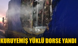 Kuruyemiş yüklü dorse yandı