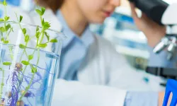 Laboratuvar Denetimlerinde Yeni Düzenleme Resmi Gazete’de Yayımlandı