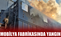 Mobilya fabrikasında yangın!