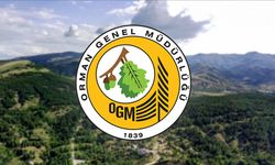 Orman Genel Müdürlüğü 496 Sözleşmeli Personel Alacak