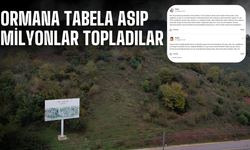 Ormana tabela asıp milyonlar topladılar