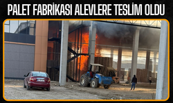 Palet fabrikası alevlere teslim oldu