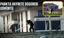 Parkta hayrete düşüren görüntü!