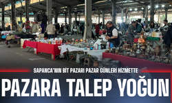 Sapanca Bit Pazarı’na Yoğun İlgi: Hem Ucuz Hem Nostaljik