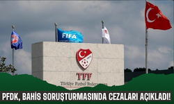PFDK, bahis soruşturmasında TFF 2. Lig'deki futbolculara verilen cezaları açıkladı