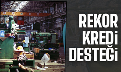 Mikrodan orta ölçeğe geniş destek