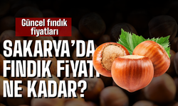 12 Kasım 2025 Sakarya fındık fiyatları
