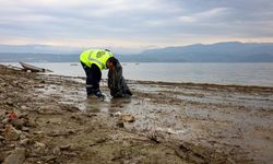 Sapanca Gölü Kıyılarında Ekosistemi Koruyan Temizlik Çalışmaları Sürüyor