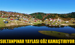 Sultanpınar Yaylası göz kamaştırıyor