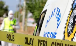 Tartışma sonrası baba, oğlunu ve kardeşini bıçaklayarak öldürdü