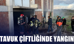 Tavuk Çiftliğinde Yangın