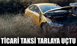Ticari taksi tarlaya uçtu!