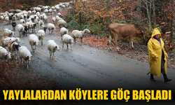 Yaylalardan köylere göç başladı