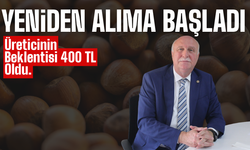 Ferrero Türkiye’den Fındık Alımına Yeniden Başladı