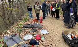 Yığılca'da orman üretim işçileri 'mesleki' ter döktü