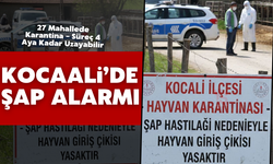 Kocaali’de Şap Alarmı: 27 Mahallede Karantina