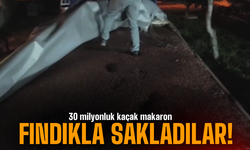 Fındıkla Kamufle Edilmiş Dorseden 30 Milyon Liralık Kaçak Makaron Çıktı