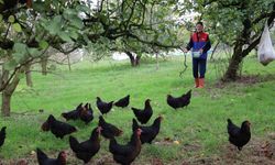 Kırsal kalkınmaya "kanatlı" destek