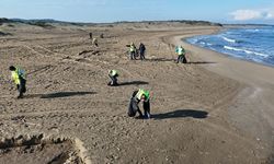 Kocaeli’de Kıyı Ekosistemlerini Koruma Hedefiyle Çevre Temizliği ve İzleme Çalışmaları Devam Ediyor