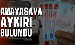 İptal Yetkisi Anayasa’ya Aykırı Bulundu