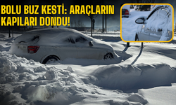 Bolu buz kesti: Araçların kapıları dondu!