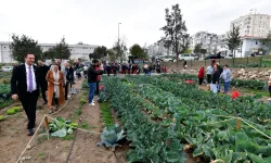 Bornova’da Kent Bostanlarında Kışlık Hasat Sevinci