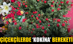 Çiçekçilerde ‘Kokina’ Bereketi