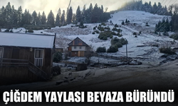 Çiğdem Yaylası beyaza büründü