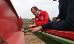 Edirne'nin köylerinde suni mera alanları genişletiliyor