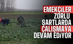 Emekçiler zortlu şartlar altında çalışmaya devam ediyor