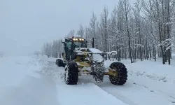Erzurum'da aşırı kar yağışı ve tipi ulaşımı felç etti