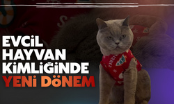 Sakarya’da evcil hayvan sahiplerine uyarı