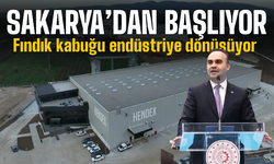 Fındık kabuğu endüstriye dönüşüyor