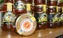 Yağmur Bereketi: Kanlıca Mantarının Kilosu 100 Liraya Düştü