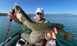 Turna balığı avı 15 Aralık’tan itibaren yasaklanacak