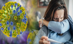 Mutasyona Uğramış H3N2 Grip Virüsü Türkiye’de Görüldü