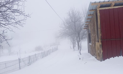 Hendek’te 20 Santimetreye Ulaştı