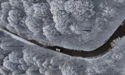 Kocaeli’yi Dünyaya Açan Kameralar Rekor Kırdı