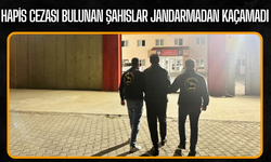 Hapis Cezası Bulunan Şahıslar Jandarmadan Kaçamadı