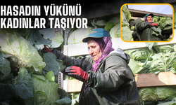 Sakarya’da Kadın İşçilerin Zorlu Hasat Mesaisi: “Kadın çok güçlüdür”