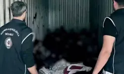 Konteynerde 44 düzensiz göçmen yakalandı