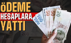 Aralık Ayına Yönelik 1,47 Milyar TL SED Ödemesi Hesaplara Yatırıldı