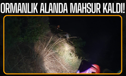 Ormanlık alanda mahsur kalan bir kişi kurtarıldı