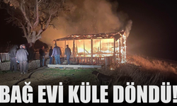 Benzinle Mangal Yakma Girişimi Yangına Neden Oldu