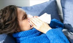 “H3N2 Türkiye için tehdit oluşturmuyor”