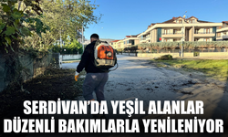 Serdivan’da Yeşil Alanlar Düzenli Bakımlarla Yenileniyor