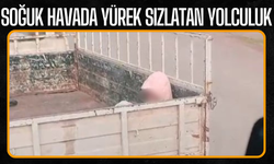 Soğuk havada yürek sızlatan yolculuk