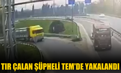 Çaldığı tır ile TEM Otoyolu'ndaki dinlenme tesisinde yakalandı